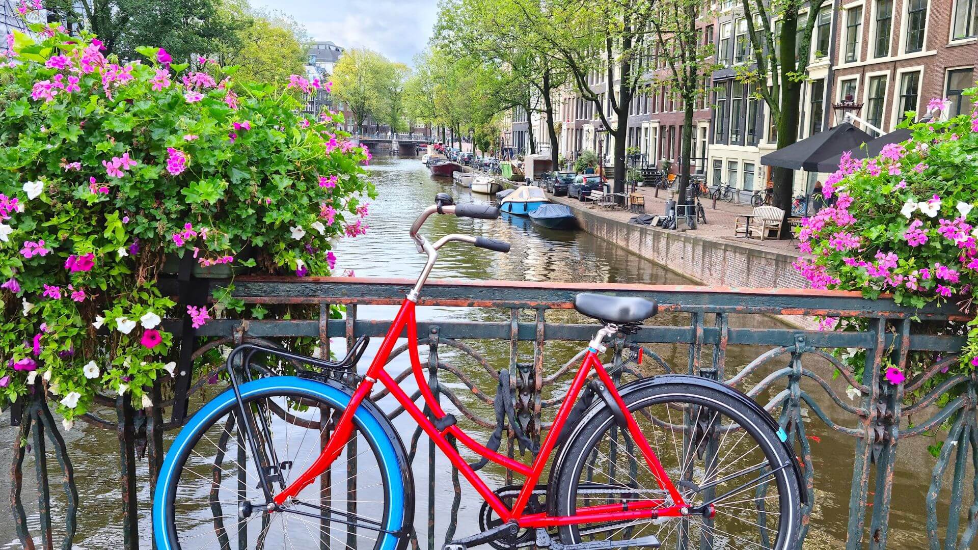 Explore Amsterdam’s Attractions : Canals, Bicycles, Tulips and History